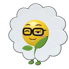 daisy before